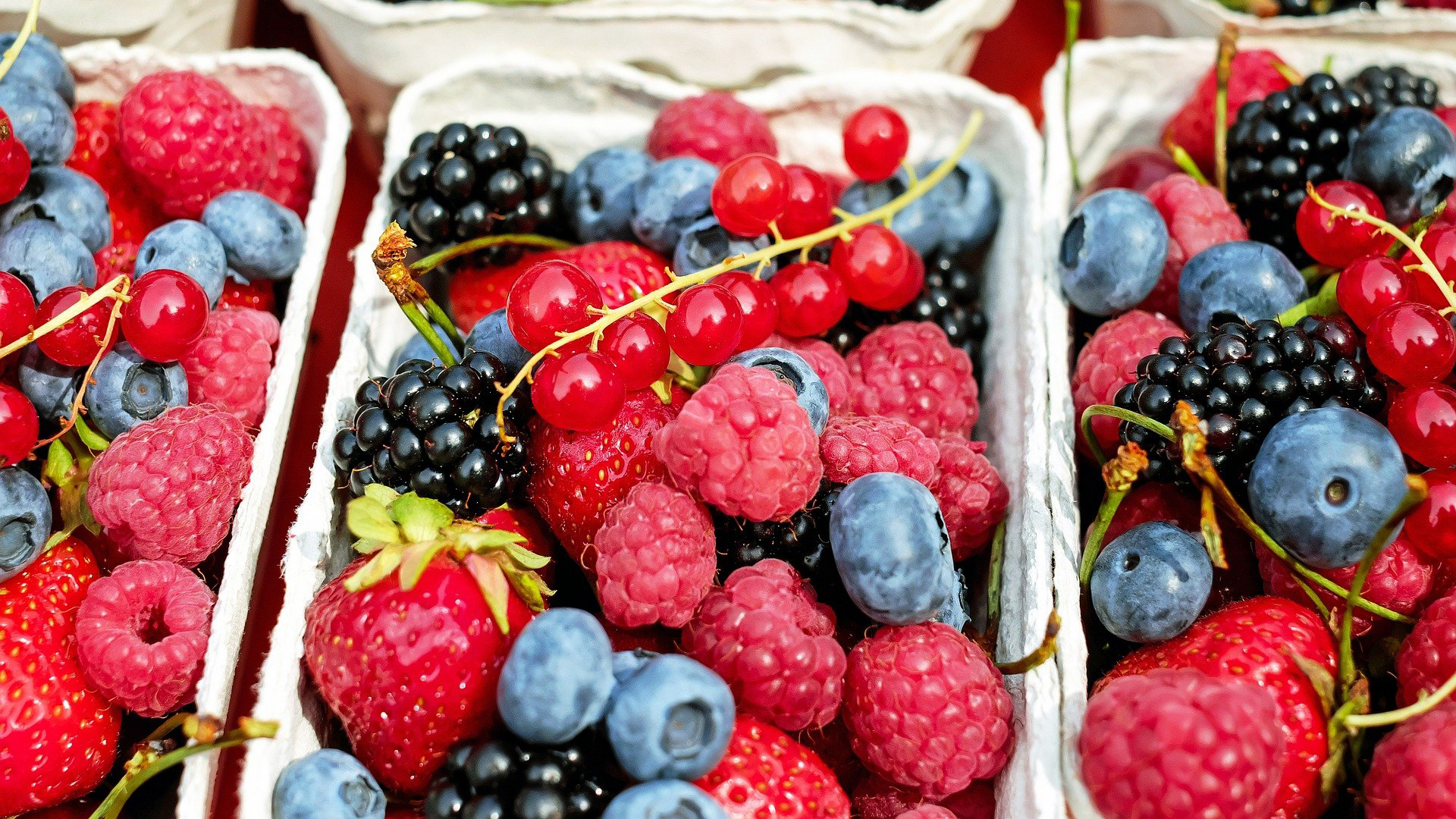 Anthocyane aus Beeren beim metabolischen Syndrom
