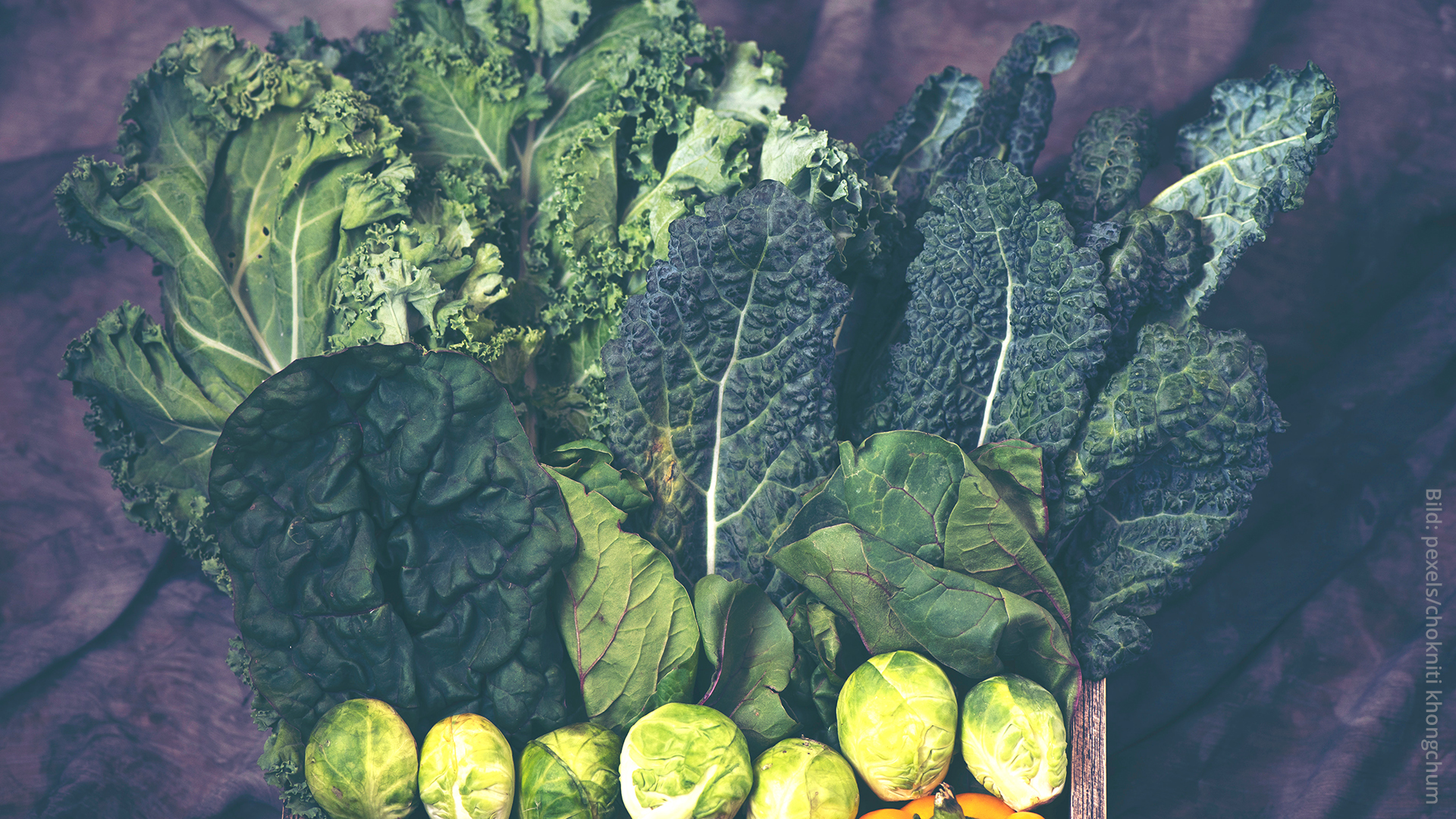 Nordische Ernährung für die Prävention des metabolischen Syndroms